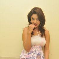 Payal Ghosh New Hot Photo Shoot Stills | Picture 113806